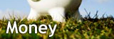 Money section