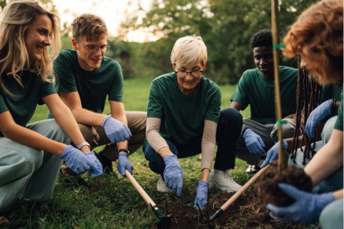 A group of people gardening