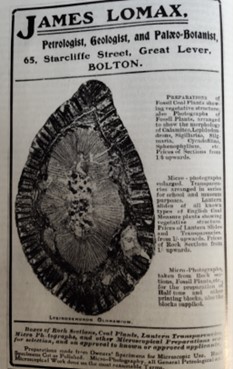 An old newspaper article featuring a headline about James Lomax, with faded text and yellowed paper.