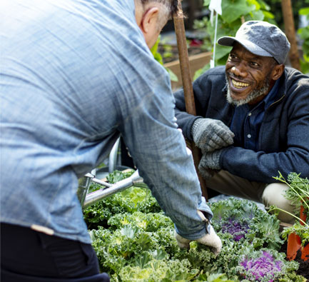 Man in garden doing gardening