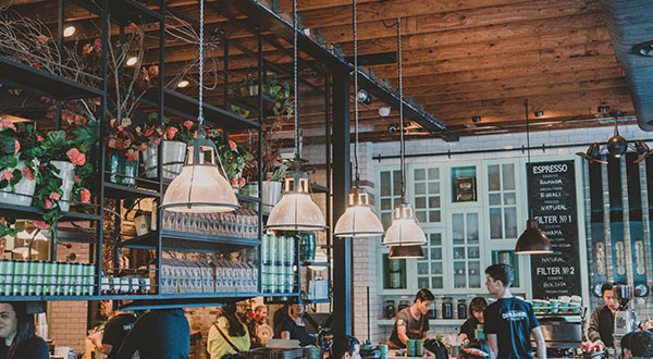 Plants and other things on shelves in a modern cafe