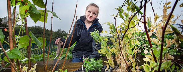 A child in a allotment