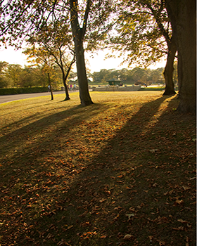 Sunlit view through trees towards a fountain in a park