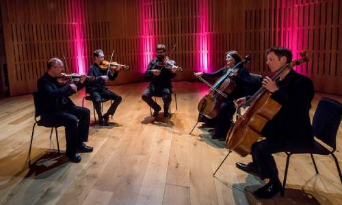 A group of five violinists sat in a circle.