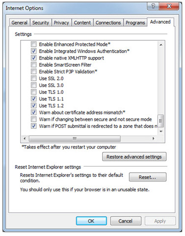 Screenshot of Internet Explorer options